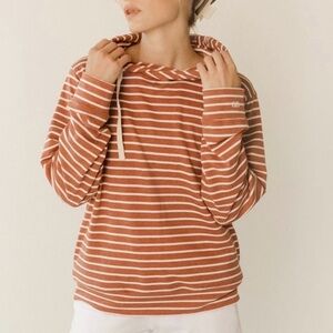 Albion Fit Stripe Terracotta Hoodie